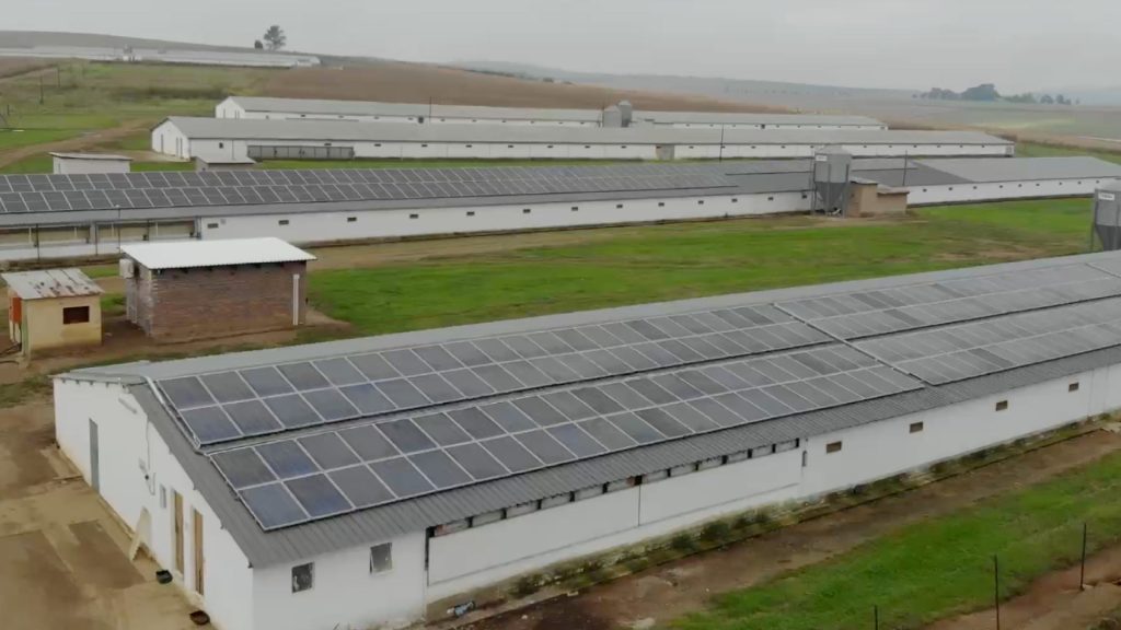 sunbird-solar-Proud-Acres-180kw-Solar-System